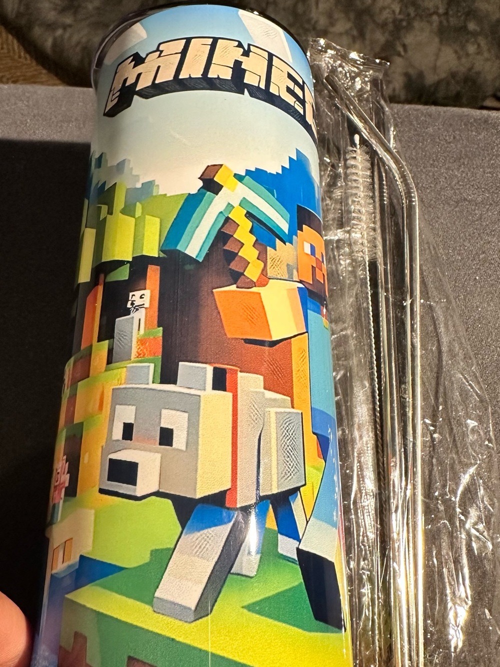 Minecraft Stainless Tumbler with Stainless Steel Straws